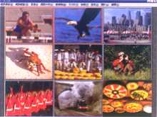 h404a.jpg (7711 bytes)